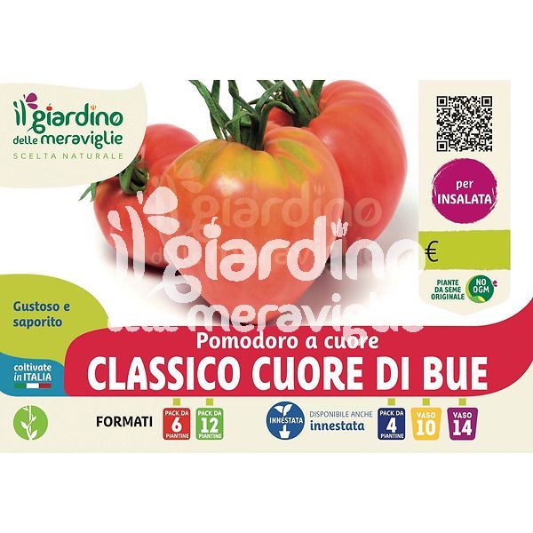 Pomodoro Cuore di bue classico