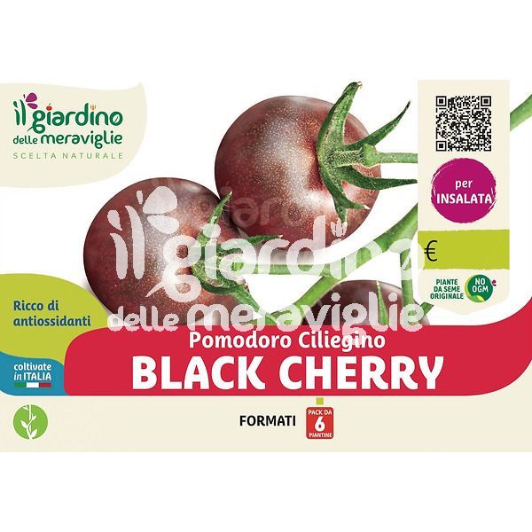 Pomodoro ciliegino nero black cherry