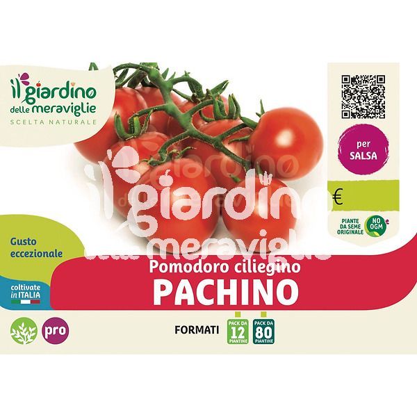 Pomodoro ciliegino Pachino