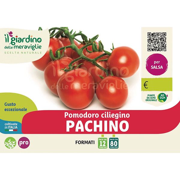 Pomodoro ciliegino Pachino