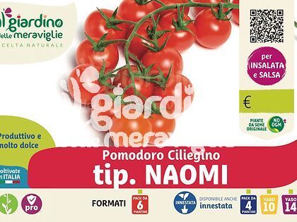 pomodoro ciliegino tip. Naomi