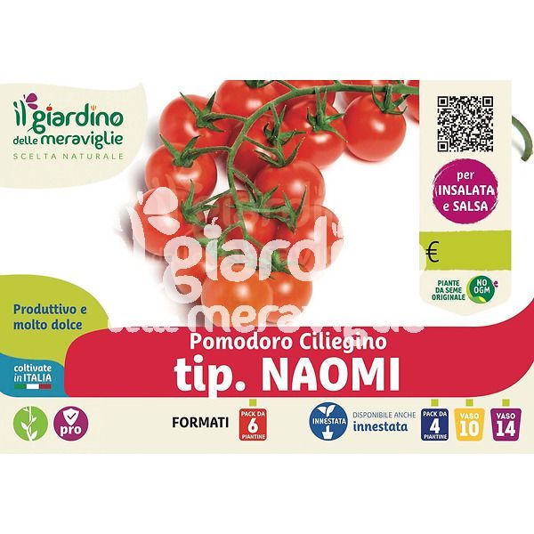 pomodoro ciliegino tip. Naomi