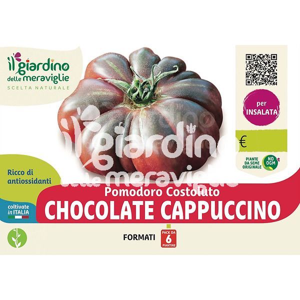 Pomodoro marmande chocolate cappuccino