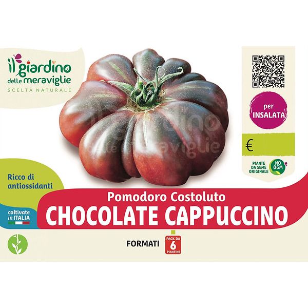 Pomodoro marmande chocolate cappuccino