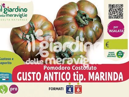 Pomodoro Costoluto F1 gusto antico tip. marinda