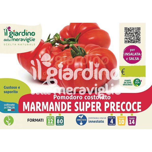 Pomodoro costoluto Marmande super precoce