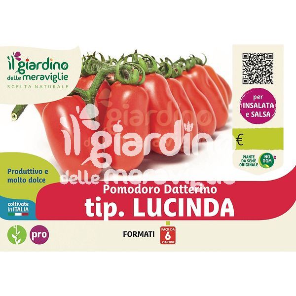 Pomodoro datterino tip. Lucinda