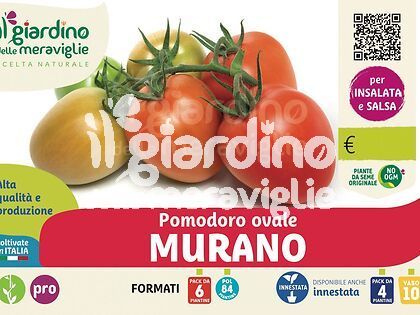 Pomodoro ovale Murano