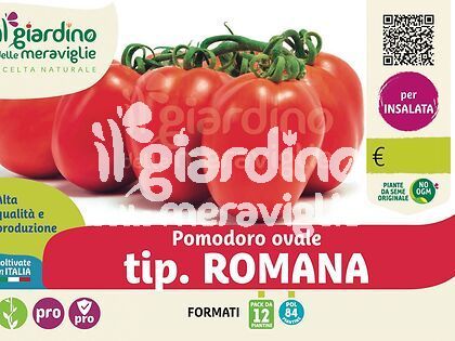 Pomodoro tondo ovale tip. Romana