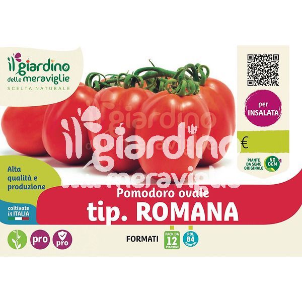 Pomodoro tondo ovale tip. Romana