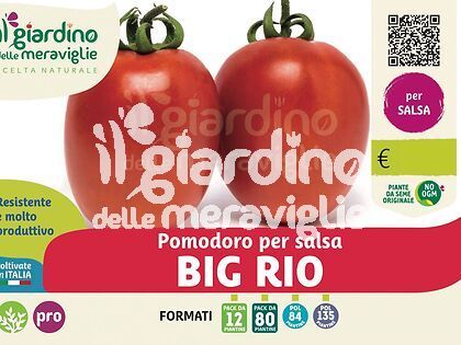 Pomodoro per salsa Big rio