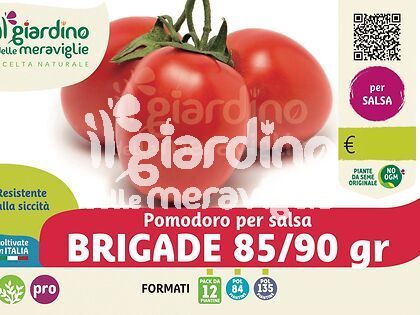 Pomodoro da salsa Brigade