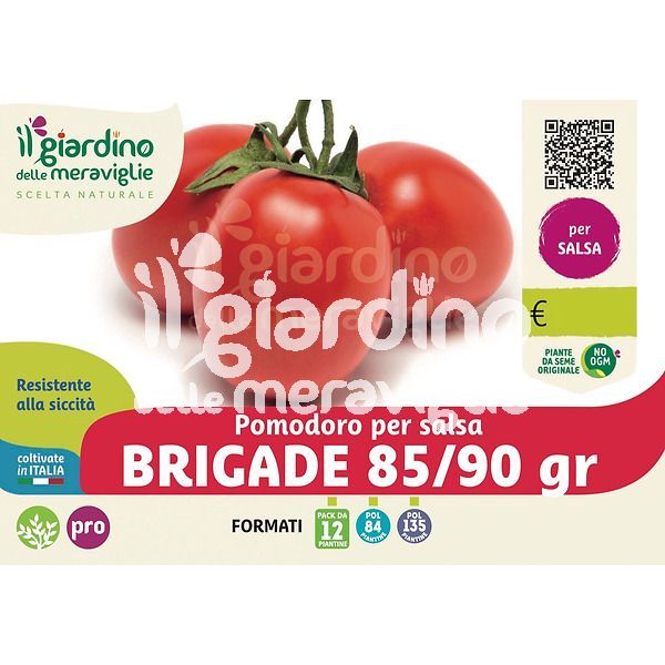 Pomodoro da salsa Brigade