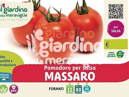 Pomodoro da salsa tollerante virosi massaro