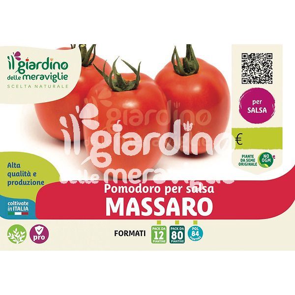 Pomodoro da salsa tollerante virosi massaro