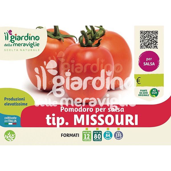 Pomodoro per salsa tip.Missouri