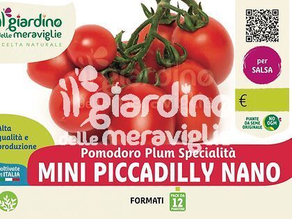 Pomodoro mini piccadilly nano