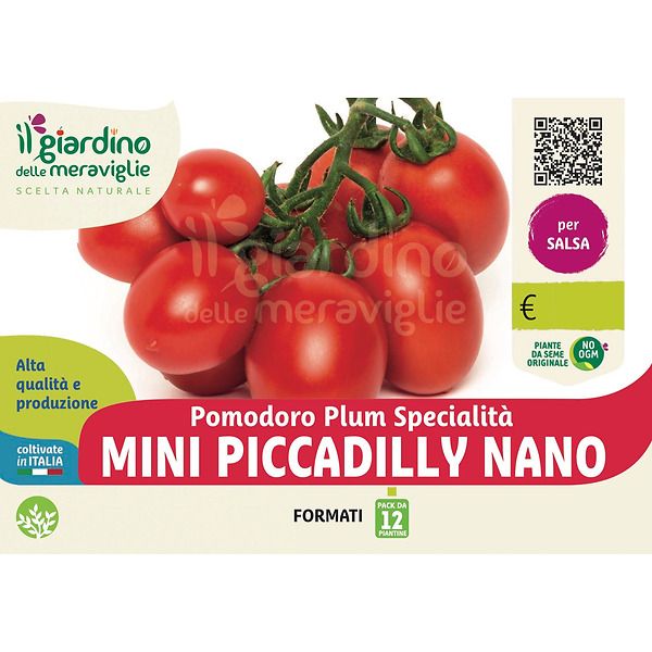 Pomodoro mini piccadilly nano