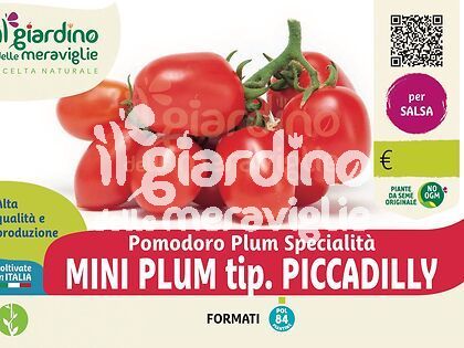 Pomodoro Mini plum