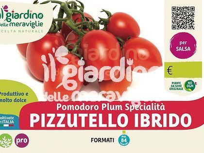 Pomodoro Pizzutello Ibrido