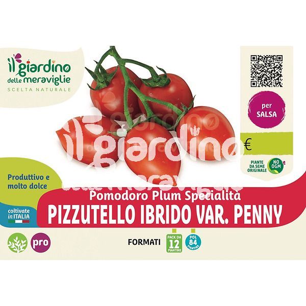 Pomodoro pizzutello var.Penny