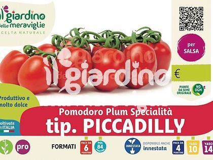 Pomodoro Piccadilly