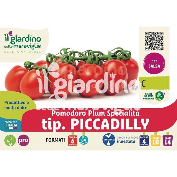 Pomodoro Piccadilly