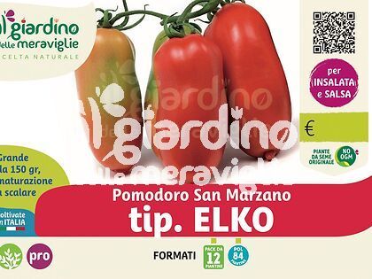 Pomodoro san marzano tip. ELKO nano