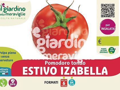 Pomodoro Estivo Tip. Izabella F1 250 gr