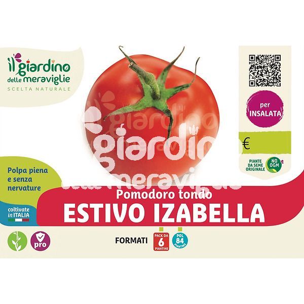 Pomodoro Estivo Tip. Izabella F1 250 gr