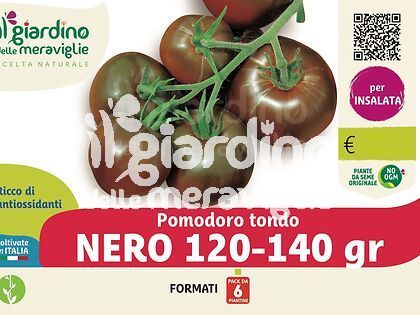 Pomodoro nero