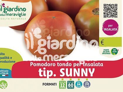 Pomodoro tondo per insalata tip.Sunny