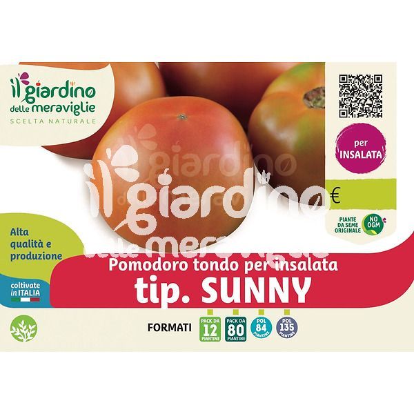 Pomodoro tondo per insalata tip.Sunny