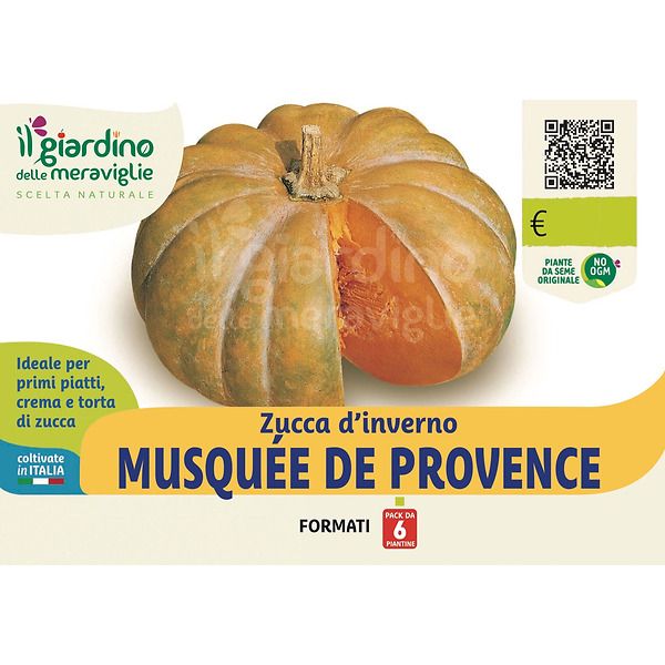 Zucca d &#039;inverno Musquee de Provence