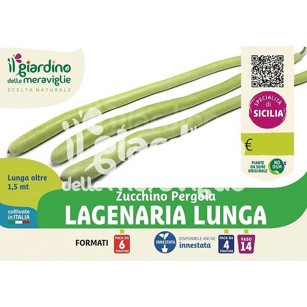 Zucchino pergola lagenaria lunga