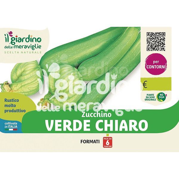 Zucchino verde chiaro