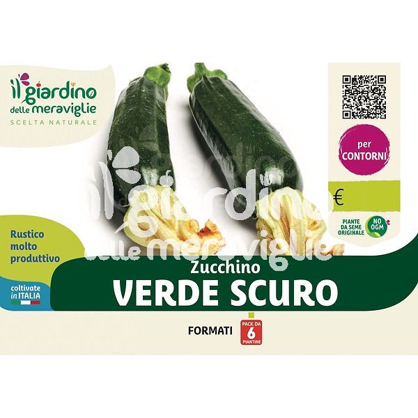 Zucchino verde scuro